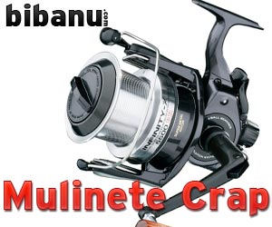 mulinete-cpat-bibanu-com-300x250