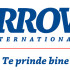 arrow international